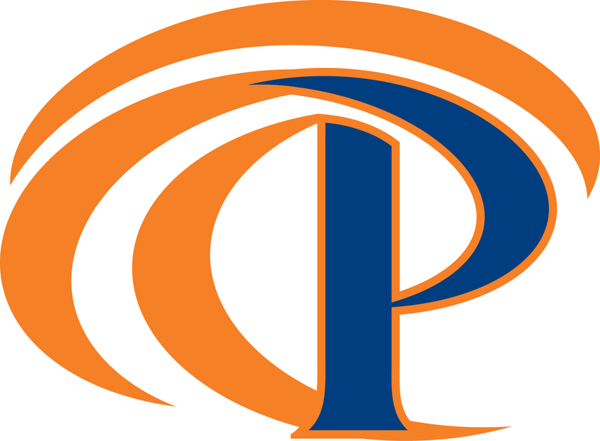 Pepperdine Waves 2003-2012 Secondary Logo diy DTF decal sticker